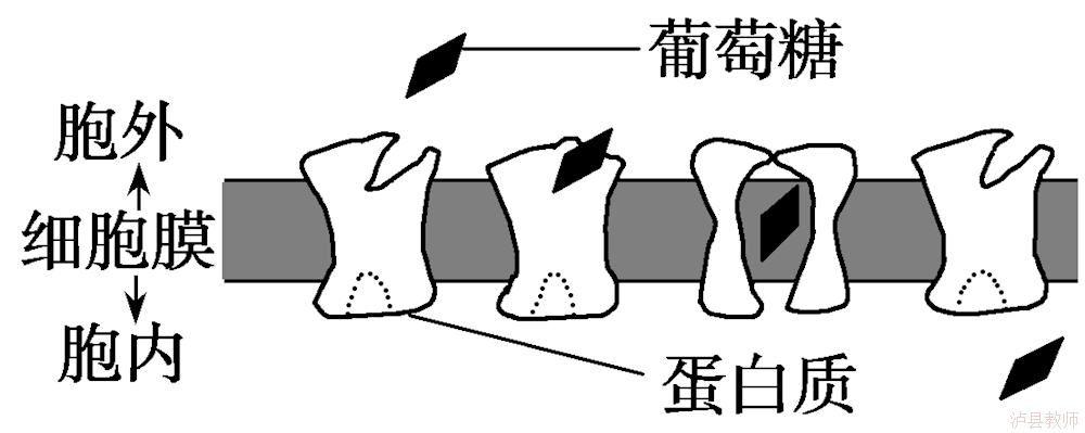 dca5f4bd888a4b6aa4215d82aa65b155.Png