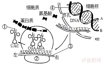 deb402876ec7445d8f9dff4386542605.Png