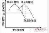 e95fd37d1b1543cb998597b3e1b64342.Jpeg