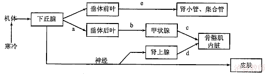 ecc0b8307ccb48b28cb66ca0d2a52d98.Png
