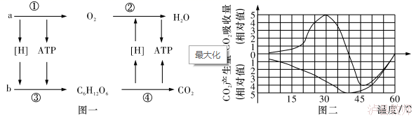 ef0a068f0ea14a4fa517a481dd8fc0d3.Png