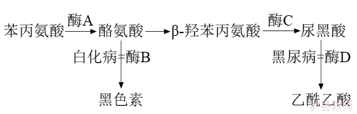 f6a1df2253f64ebbbf568d73f80caae1.Png