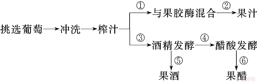 f8eb3210d44e4957ab84fc3473c949a6.Png
