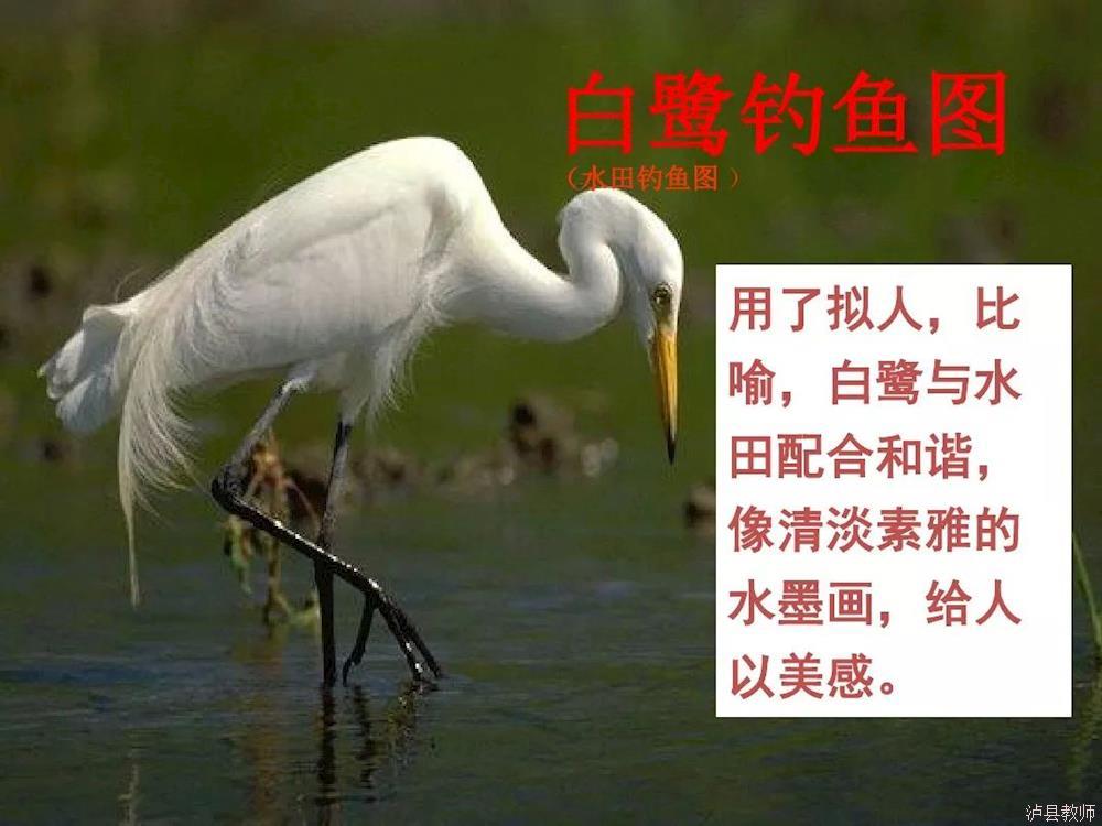 270d5c14591f41fda804b62bc336e561.Jpeg