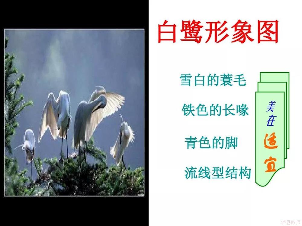 3674b8b954fc475a9349455df658a664.Jpeg