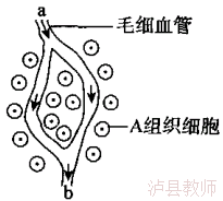 021d5b8d2b7b4c61b3c028352d8be70b.Png