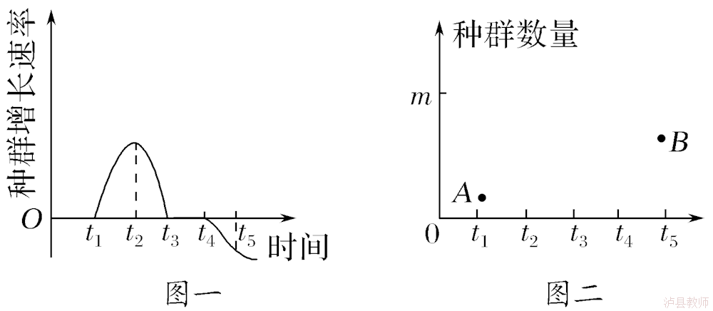 07c36482bfa14ff3a568e368fc774aa7.Png