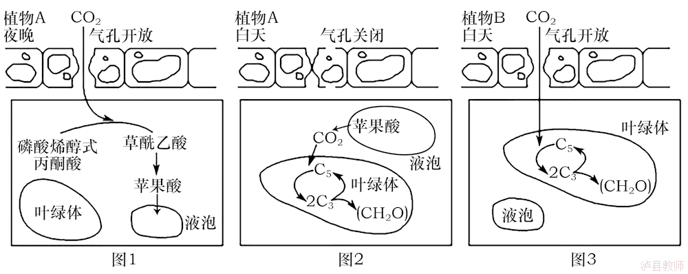 094d629595654f48b7bb3f08b159a4d5.Png