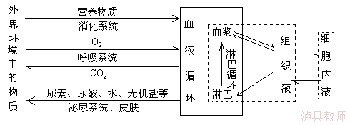 1452c16b3fe44125add7a3a1993b1bfe.Png