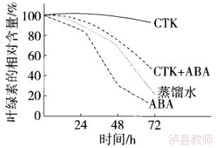 18c98ca108f84d0882fb9ac54e493611.Png