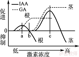 2360256cf0b748979b73cf267372e901.Png