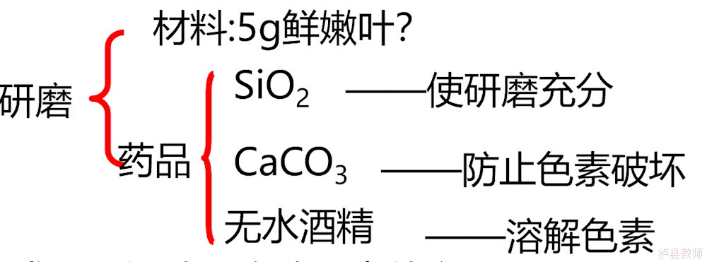 23eec4fcc35d442dba5ced2d21457d37.Png