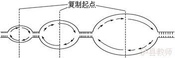 253fb45a950e4285a03be40d2bb93707.Png