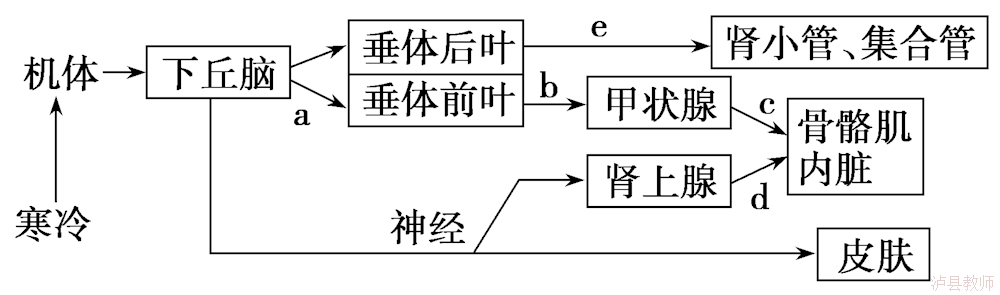 266bc65f13714f4bbb4da8fc5335530f.Png
