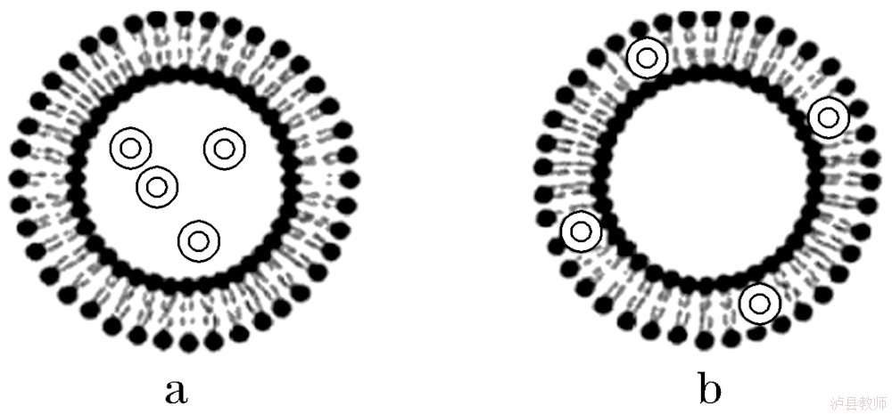 296fcbb386354408925fd73b94eae6d4.Png