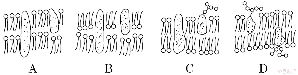 301895158e714a129c1ebdf526101c36.Png