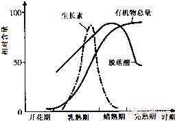 31d4c11037d54dd7bd87cceaf2713f0b.Png