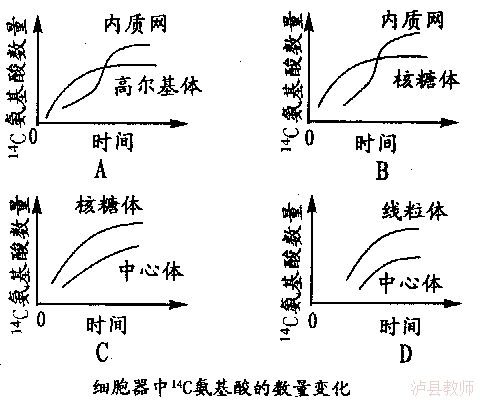 329acc039e45450b924c13dacdce0f9e.Png