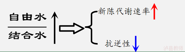 34b3f617120a40aaae324f30f9058325.Png