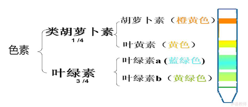 35e612a0314244ce9419cb9d556e6dce.Png