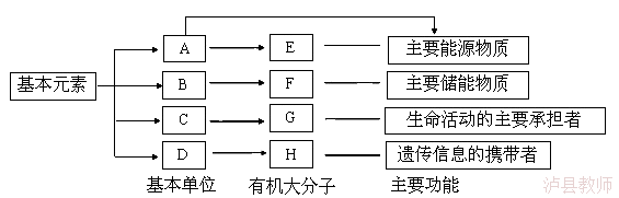 3bd67d491ac64218b2f0249f98b805cc.Png