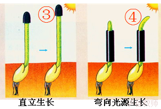 41aeab93d2734e928eda2ac014081646.Png