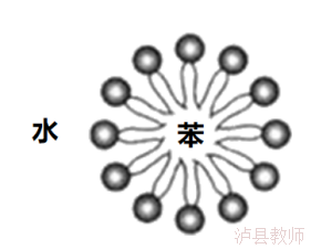 4e97f07b34304e68a1ca806fd607929e.Png