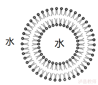 4ecc93d82a7c4ebd8a371521259760f8.Png