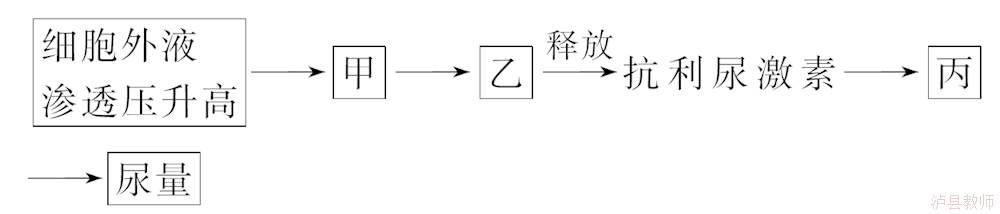 516bd10436064ce690354b31db0383d4.Png