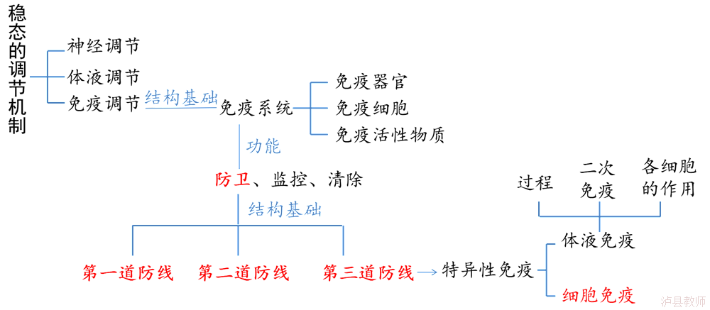 5609c2ed537141509b469ed529d7c000.Png