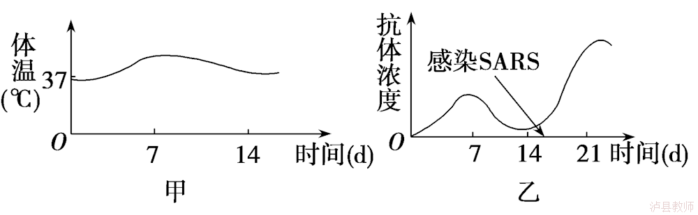 56f120e845184eadb597ab6087bb2e49.Png