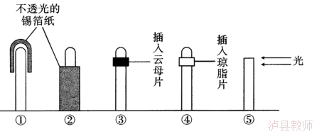 57882a86ddd5473d8d684c374c18364c.Png