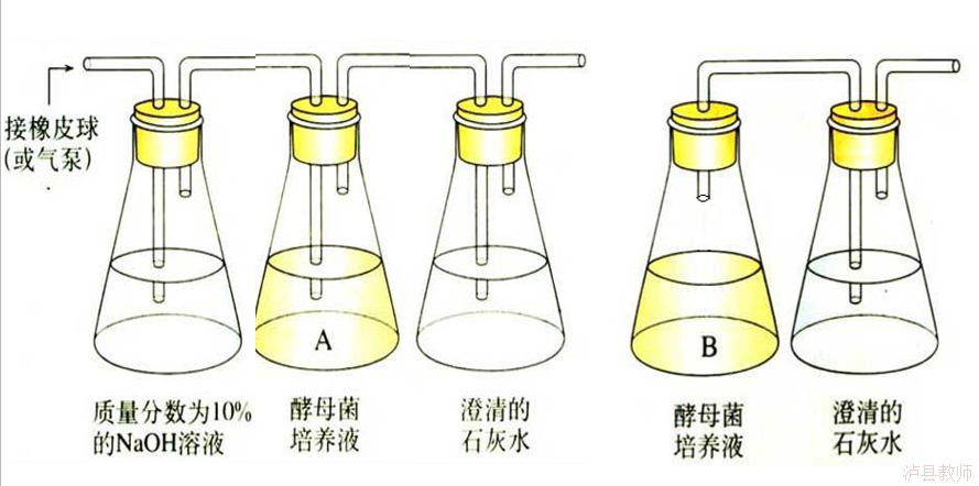 60b17153cedf492faf32a16ff9290159.Png
