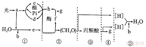 6817517b062c4732a6808d776287ace1.Png