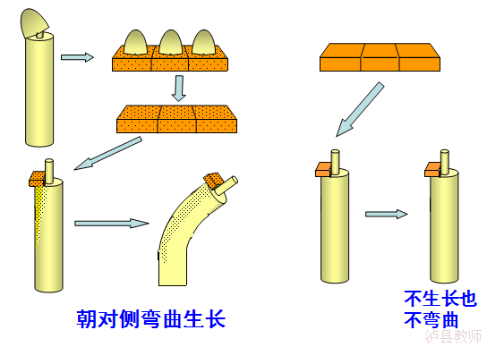 6b3ed3598293447b83543f43120250cb.Png