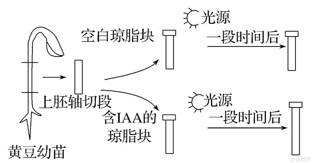 721bf4309e0640b4a63cb9c139487433.Png