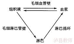 73e02a1a861f44cba7f1bbd9cfca3626.Jpeg