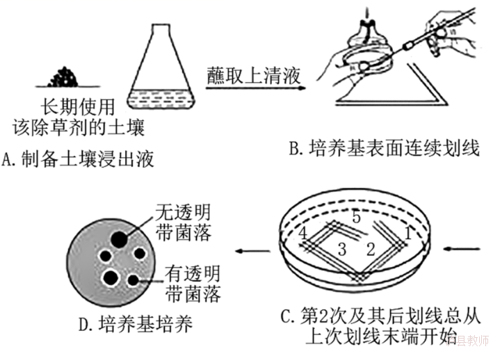 79b163766da342cab90bbb4dd796fb1e.Png