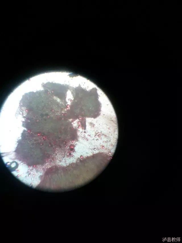 7b60293f20014a1cae1559fcb7712a0b.Jpeg