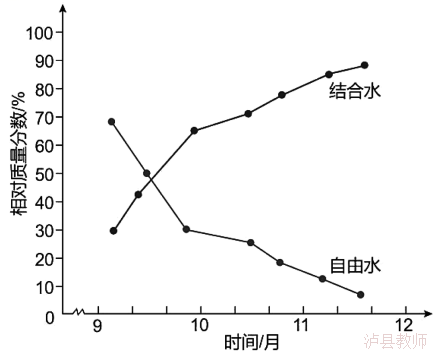 821b56745755459f90fc2a840143e19e.Png
