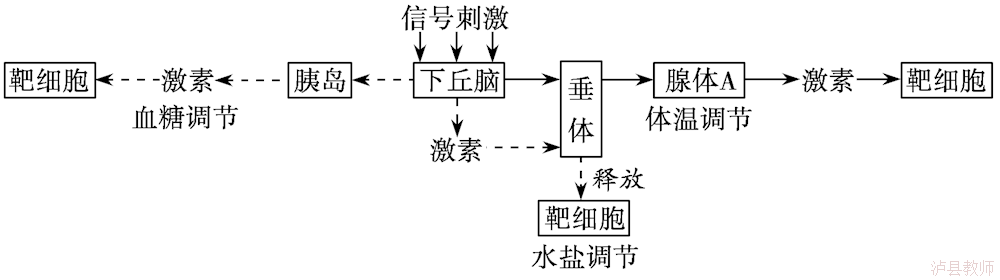 823bb4eaf73b4d599d1d5120c865bef4.Png
