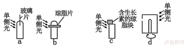 84dccbcd9cc949058d43094fe79844a8.Png