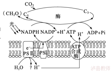 84f9d77797044f2d97f36ef17f1d7f6c.Png