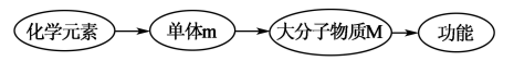 8c86ac1c33644cbe87f2b1618ed7a981.Png