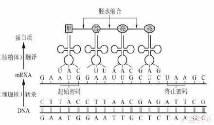 8e7fb8bc56f04d84babc2bee6bf146f2.Png