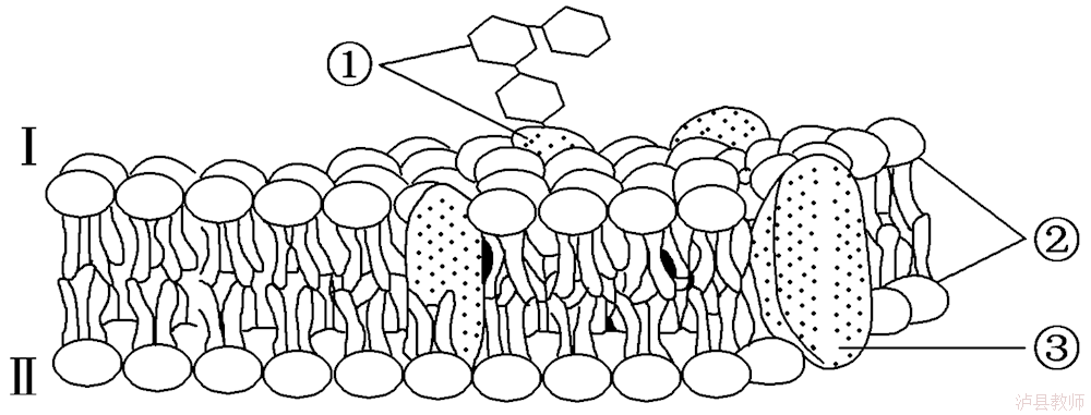 97901e3093384ed6bc697639d94a08ac.Png