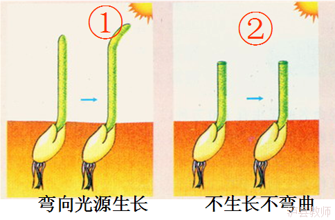 a3300470b3fe4ec3b712e29dd8be6a03.Png