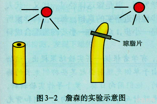a8878de4dc9b442bbd67112c8d688af9.Png