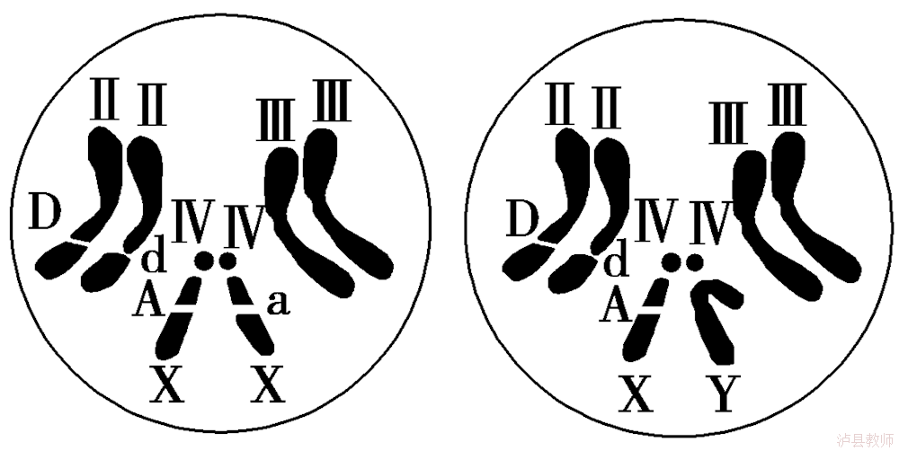a9c78f8b39284da5815b7859350ae983.Png