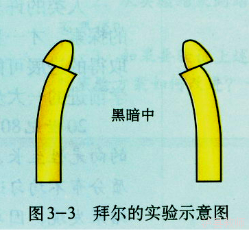 aa10897a850540d6b656200d31c6cb2c.Png